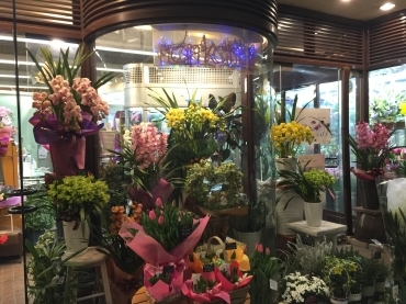 「南海フローリスト」　（徳島県徳島市）の花屋店舗写真1